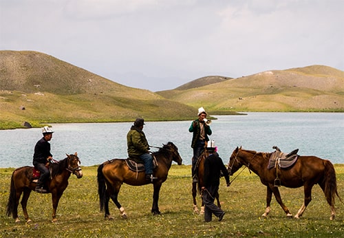 Конные прогулки 